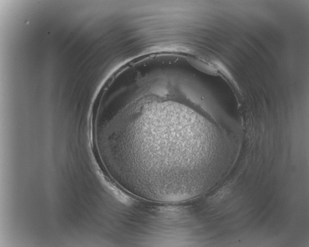 X0000063461132200602031827