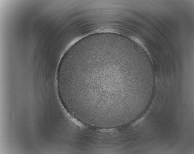 X0000063461133200602031827