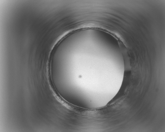 X0000063461134200602031827