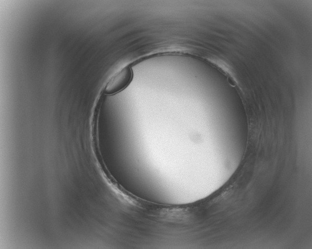 X0000063461135200602031827