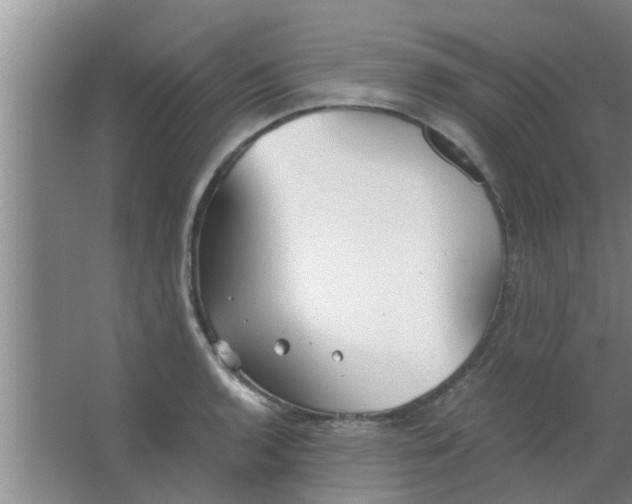 X0000063461136200602031827