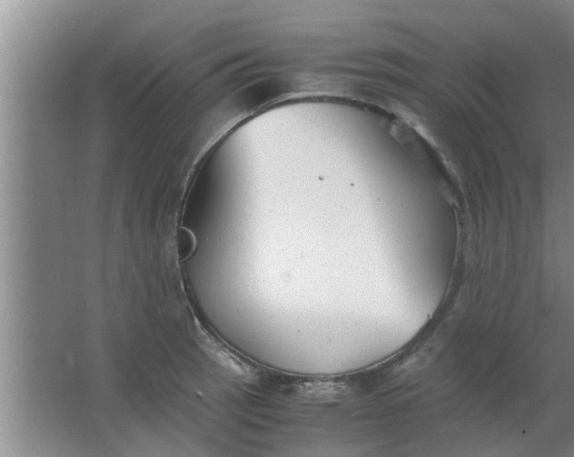 X0000063461137200602031827