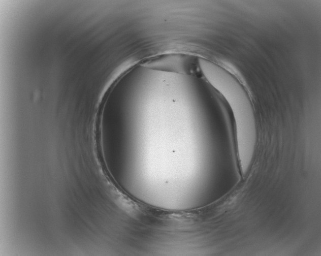 X0000063461138200602031827