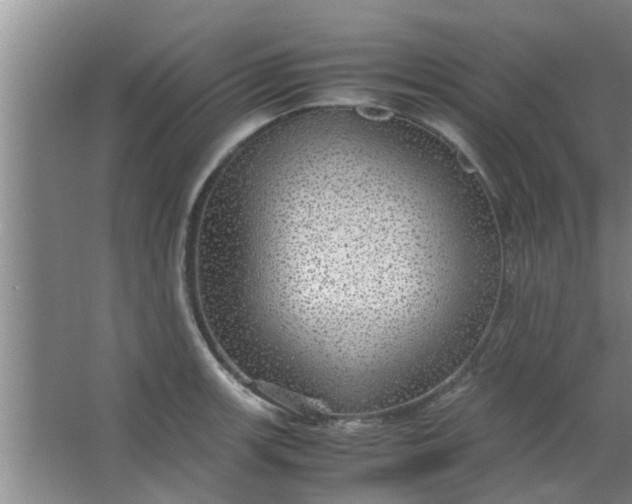 X0000063461139200602031827