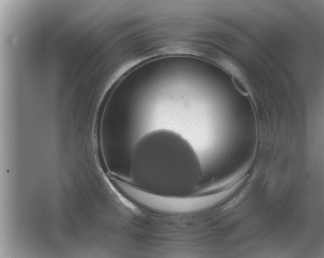 X0000063461141200602031827