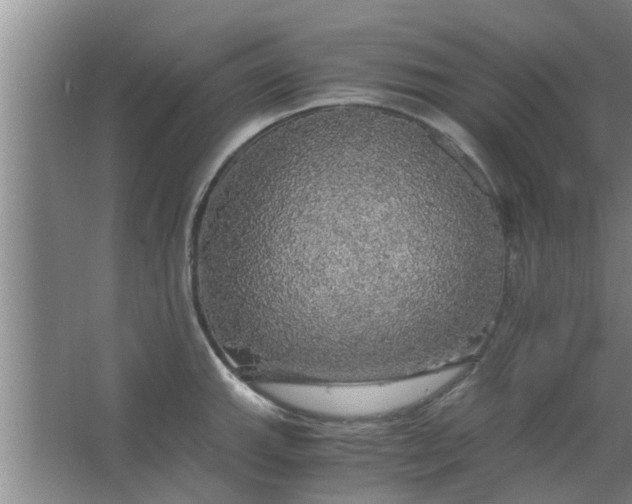 X0000063461143200602031827