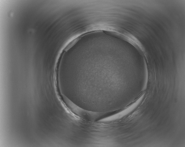 X0000063461144200602031827