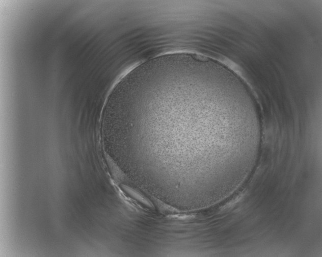 X0000063461145200602031827