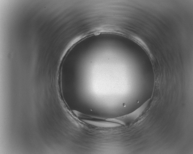 X0000063461146200602031827