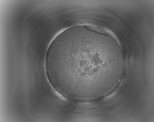 X0000063461149200602031827