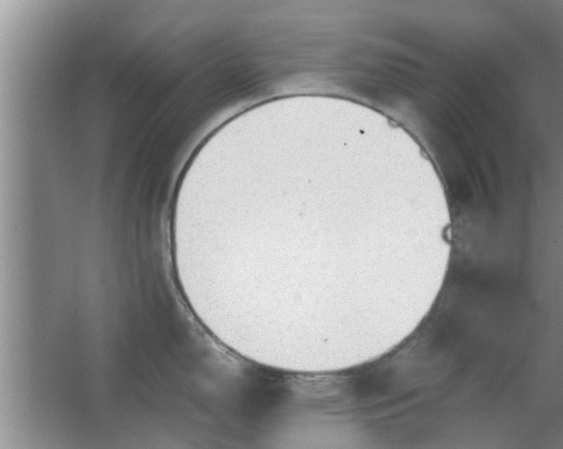 X0000063461150200602031827