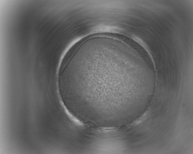 X0000063461152200602031827