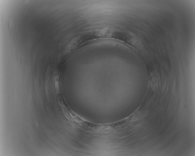 X0000063461154200602031826