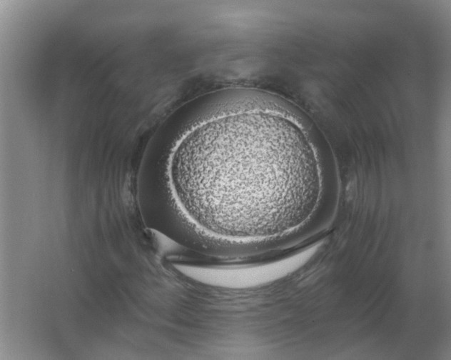 X0000063461156200602031826