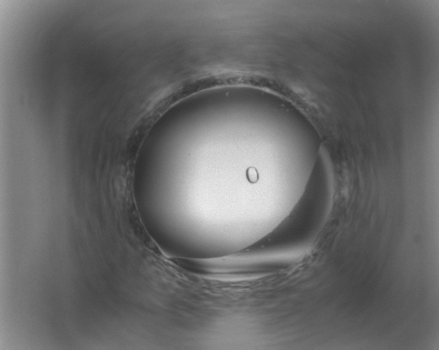 X0000063461157200602031826