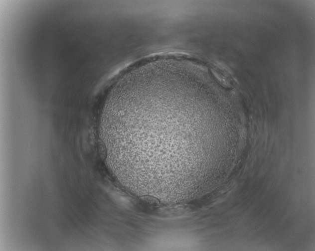 X0000063461159200602031826