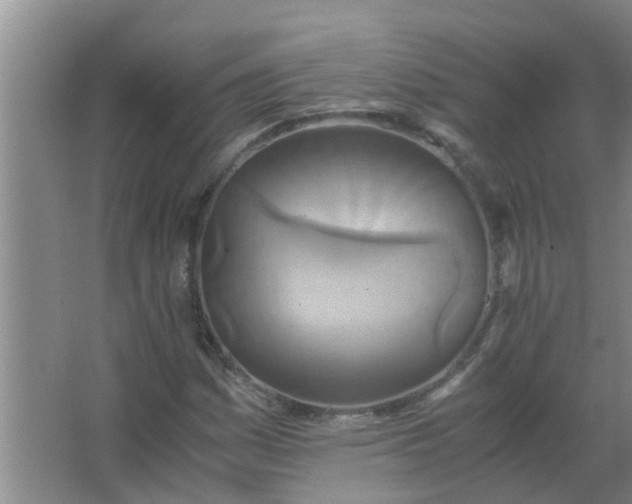 X0000063461161200602031826