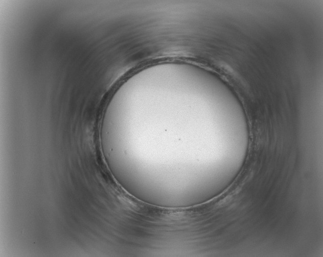 X0000063461162200602031826