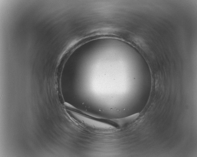 X0000063461164200602031826