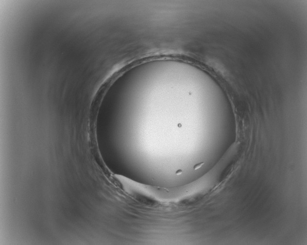 X0000063461165200602031826