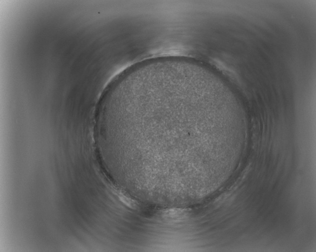 X0000063461166200602031826