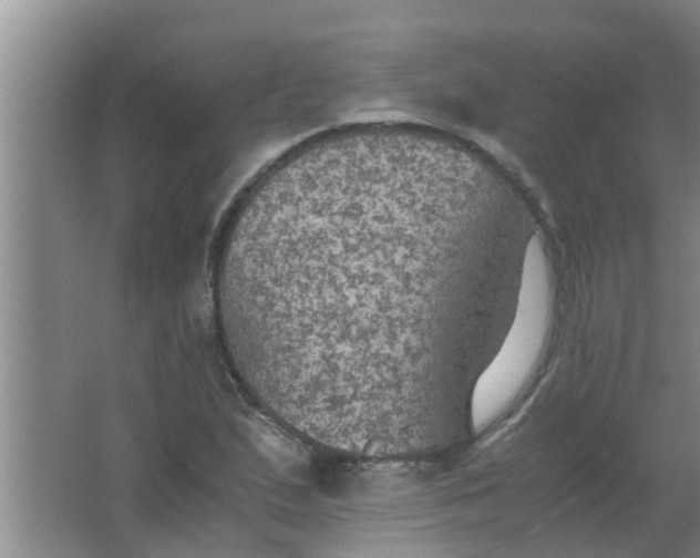 X0000063461167200602031826