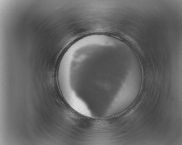 X0000063461170200602031826