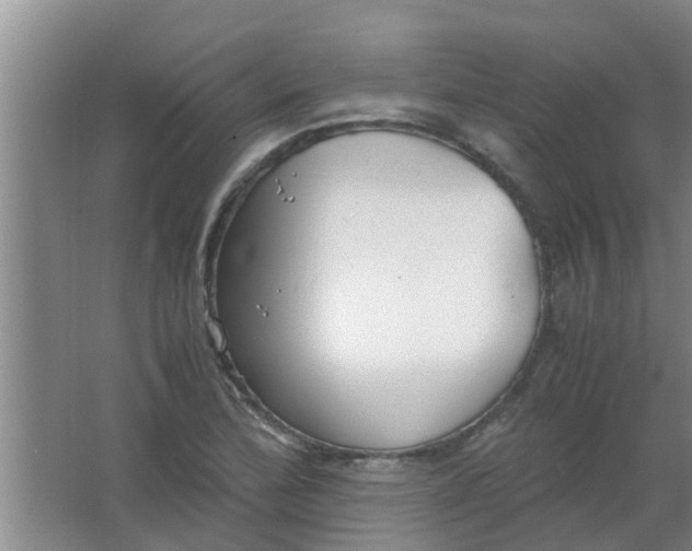 X0000063461172200602031826