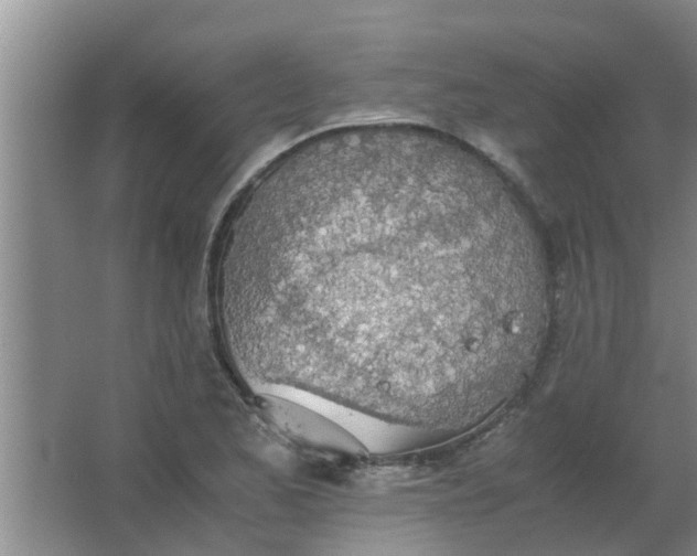 X0000063461173200602031826