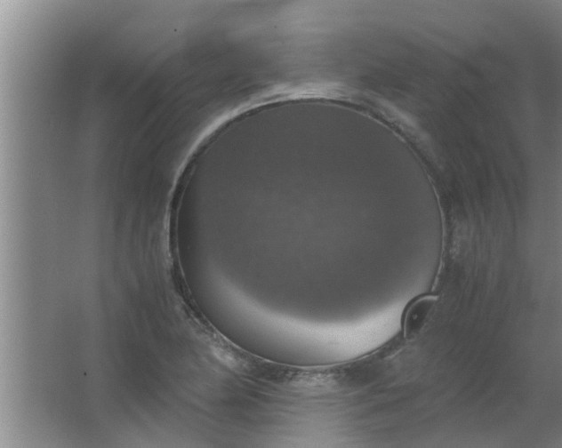 X0000063461174200602031826