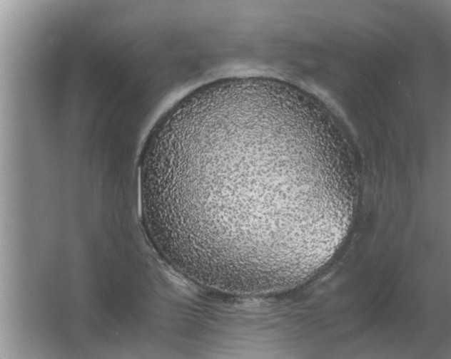 X0000063461175200602031826