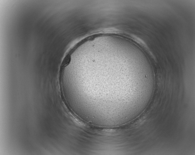 X0000063461176200602031826