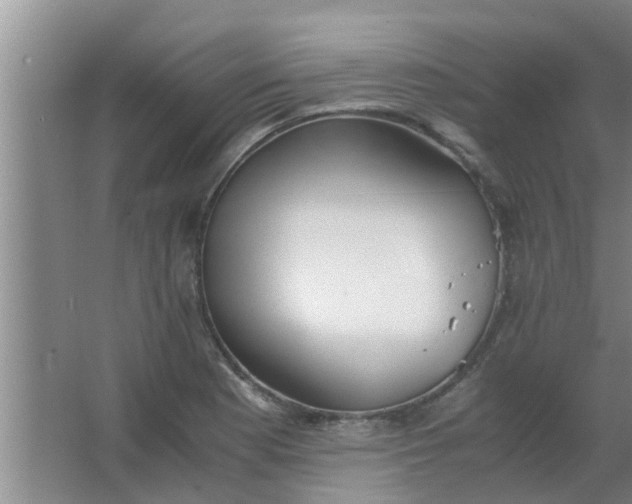 X0000063461177200602031826