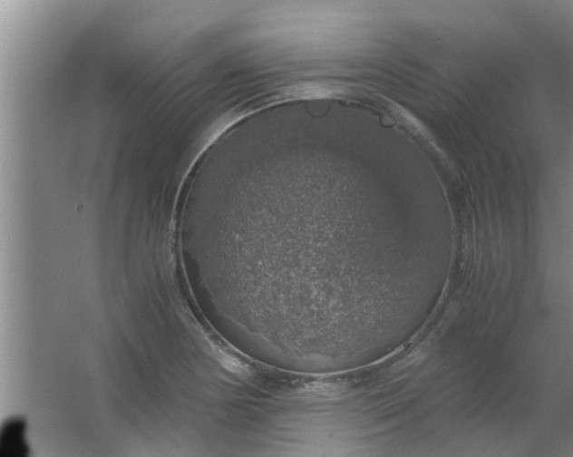 X0000063461178200602031826