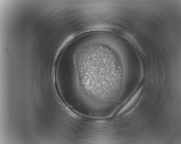 X0000063461180200602031826