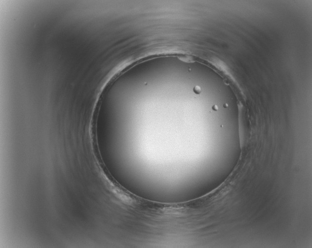 X0000063461181200602031826