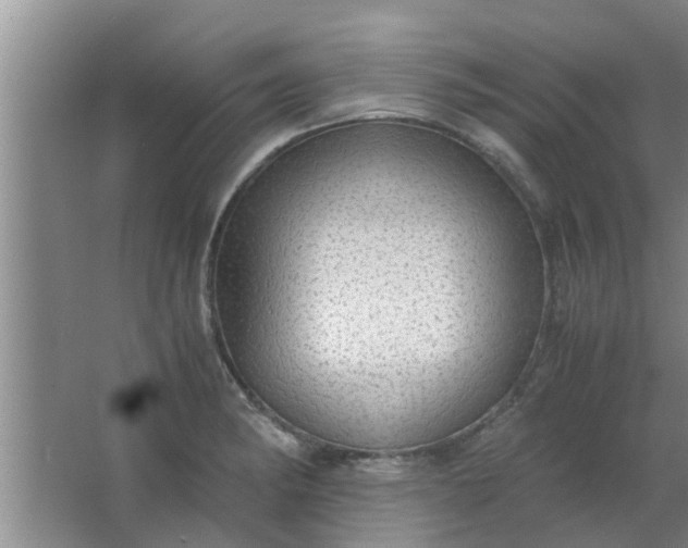 X0000063461182200602031826