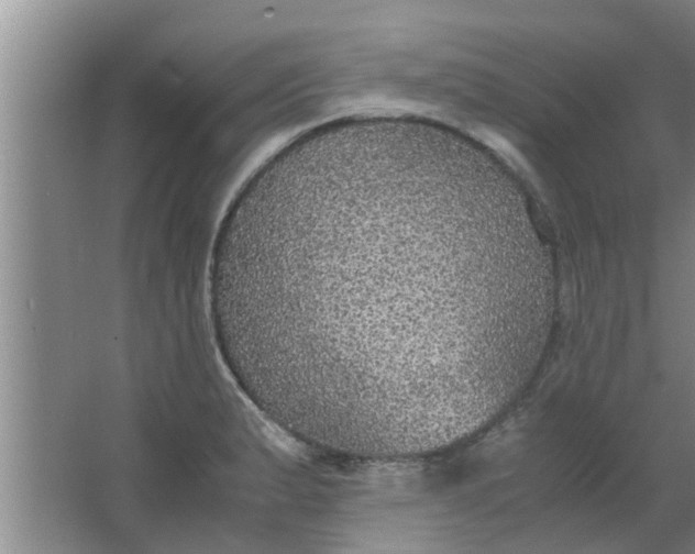 X0000063461183200602031826