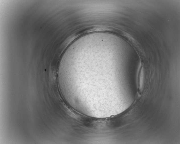 X0000063461185200602031826