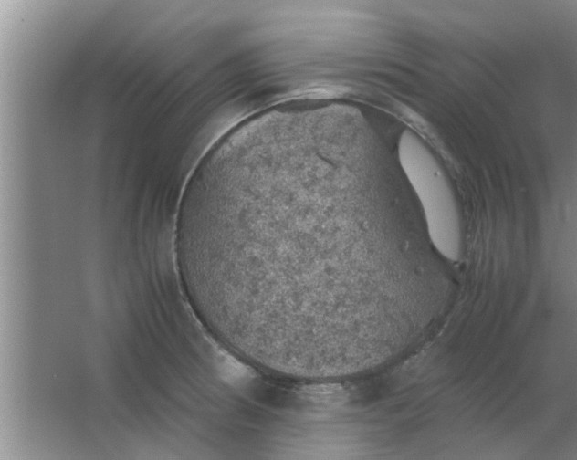 X0000063461186200602031826