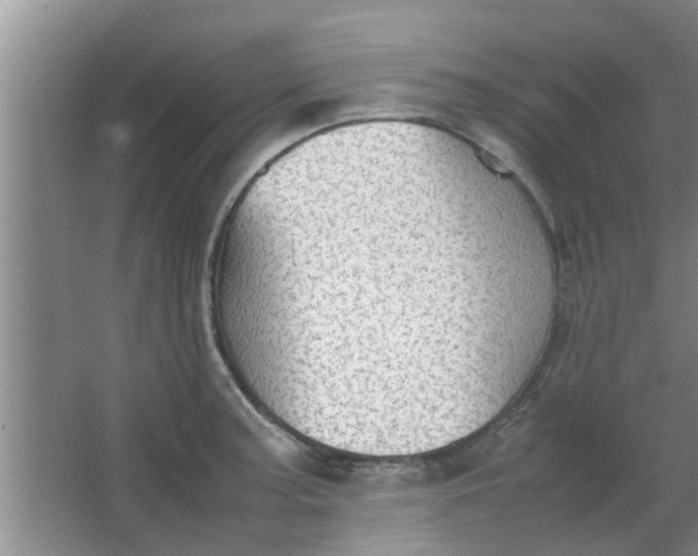 X0000063461187200602031826