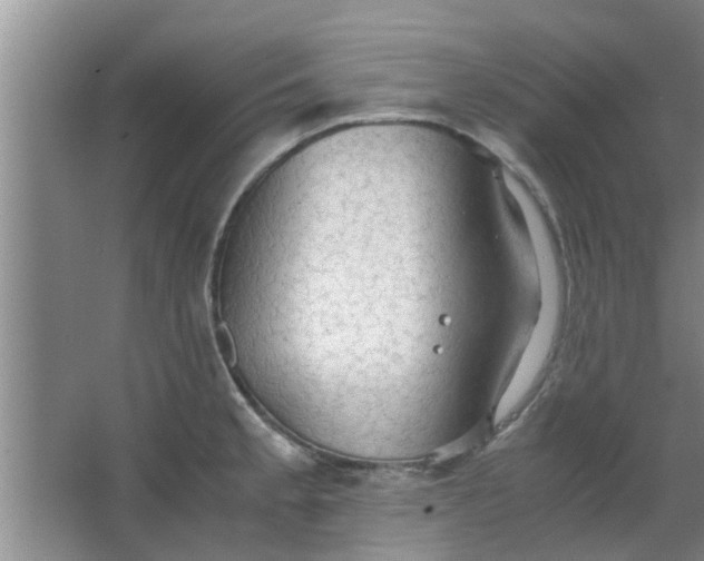 X0000063461189200602031826