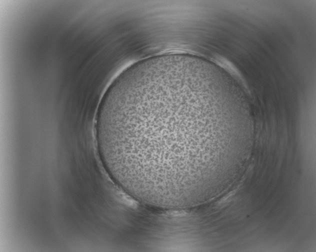 X0000063461190200602031826