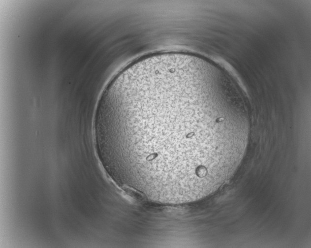 X0000063461191200602031826