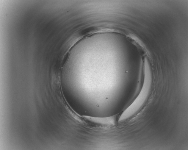 X0000063461193200602031826