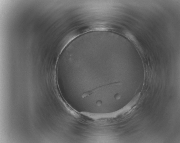 X0000063461194200602031826