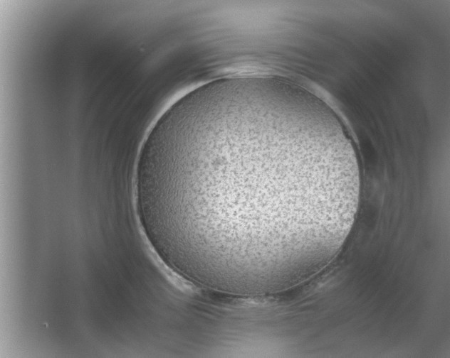 X0000063461195200602031826