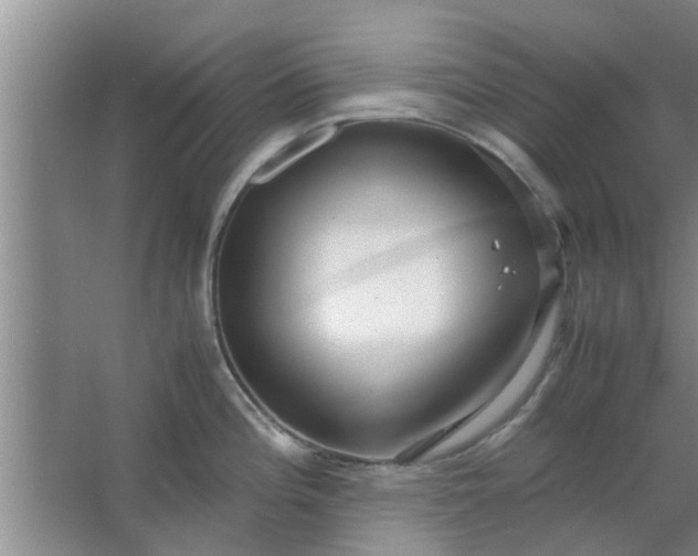 X0000063461196200602031826