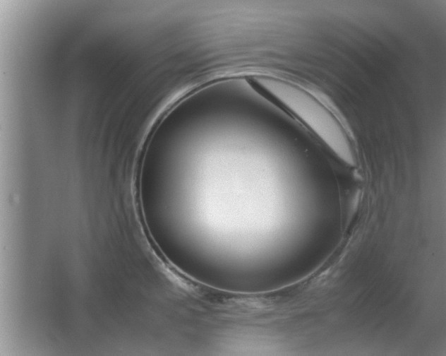 X0000063461197200602031826