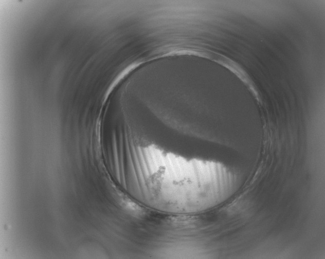 X0000063461198200602031826